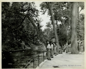 Several men and women looking at trees and a river.