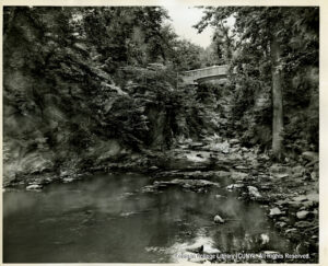 Image of a river with large rocks and trees. A bridge crosses above the river in the distance.