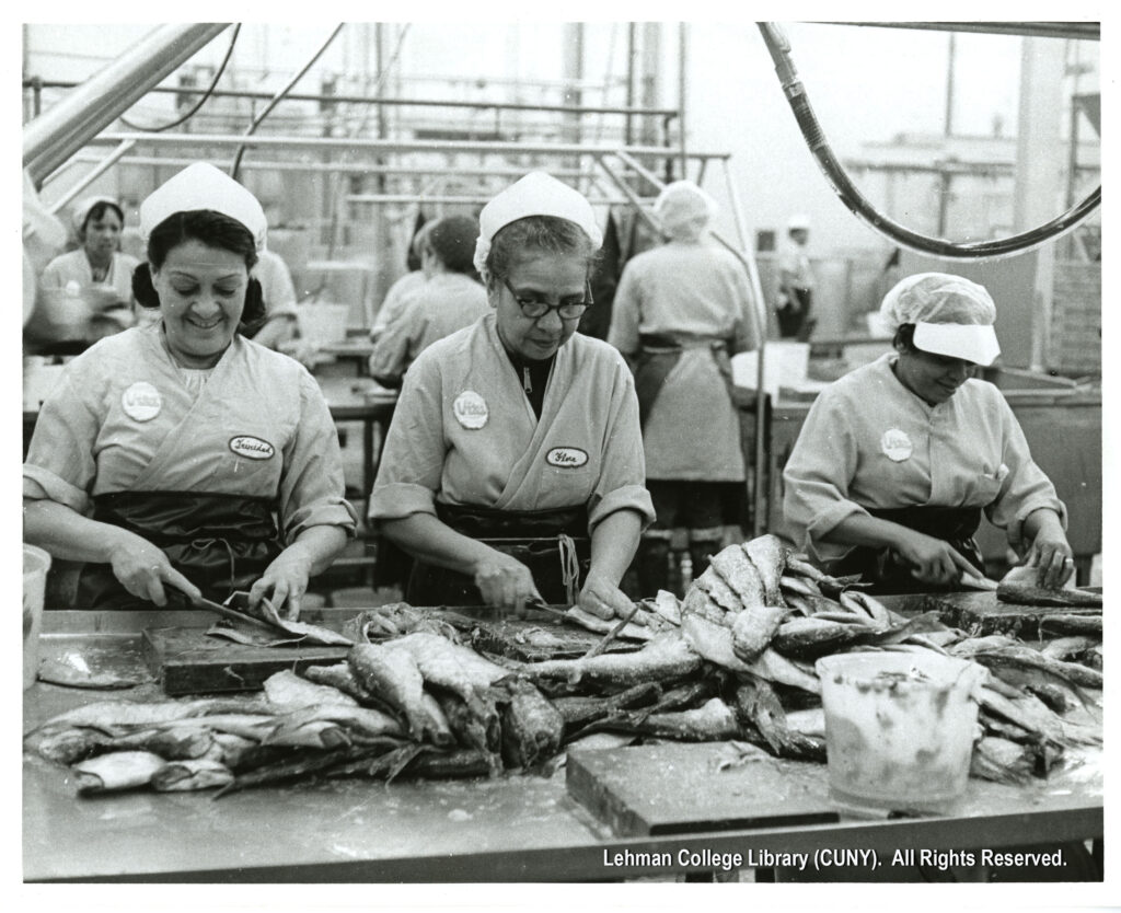 Three women cut fish. One is glancing sideways at the camera, and another smiles.