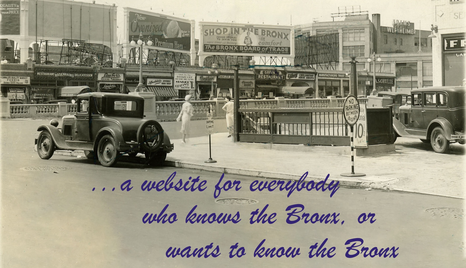 Image of people, cars, and stores with the words "a website for everybody who knows the Bronx, or wants to know the Bronx.