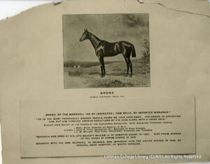 Image of a horse and information about his lineage.
